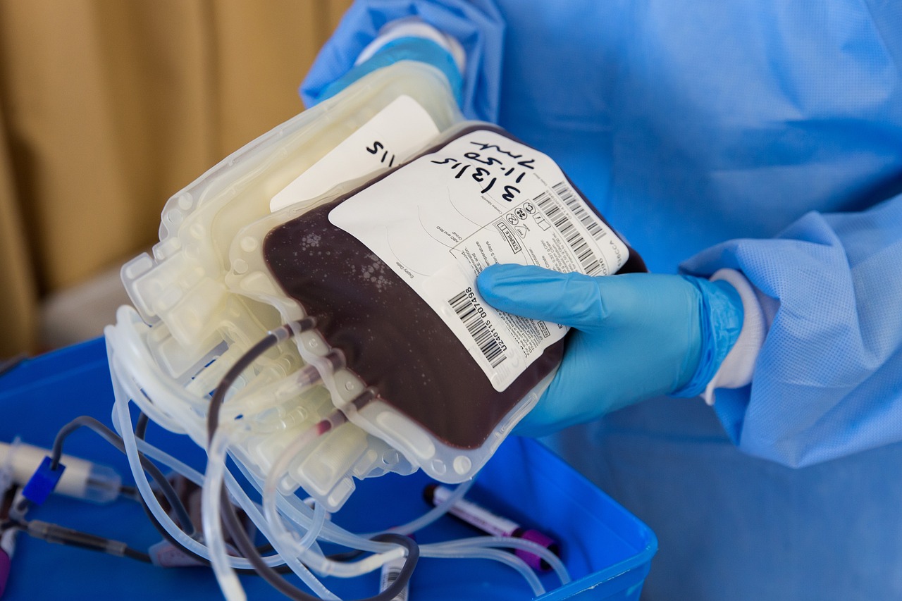 sacca sangue (dal sito web della Regione Umbria) 2843